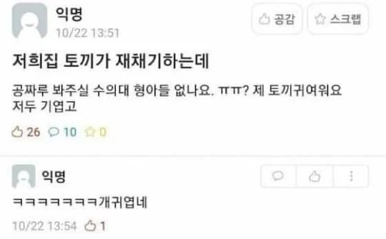 'My rabbit keeps sneezing' — sneaky vet student recruitment post